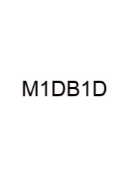 Multiplying 1 Digit By 1 Digit