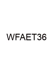 What Fractions Are Equivalent To 3/6