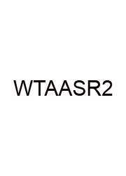 What Time Are Ap Scores Released 2024