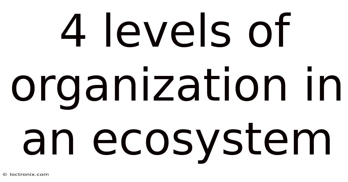 4 Levels Of Organization In An Ecosystem