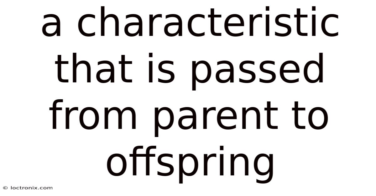 A Characteristic That Is Passed From Parent To Offspring