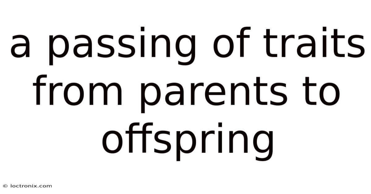 A Passing Of Traits From Parents To Offspring