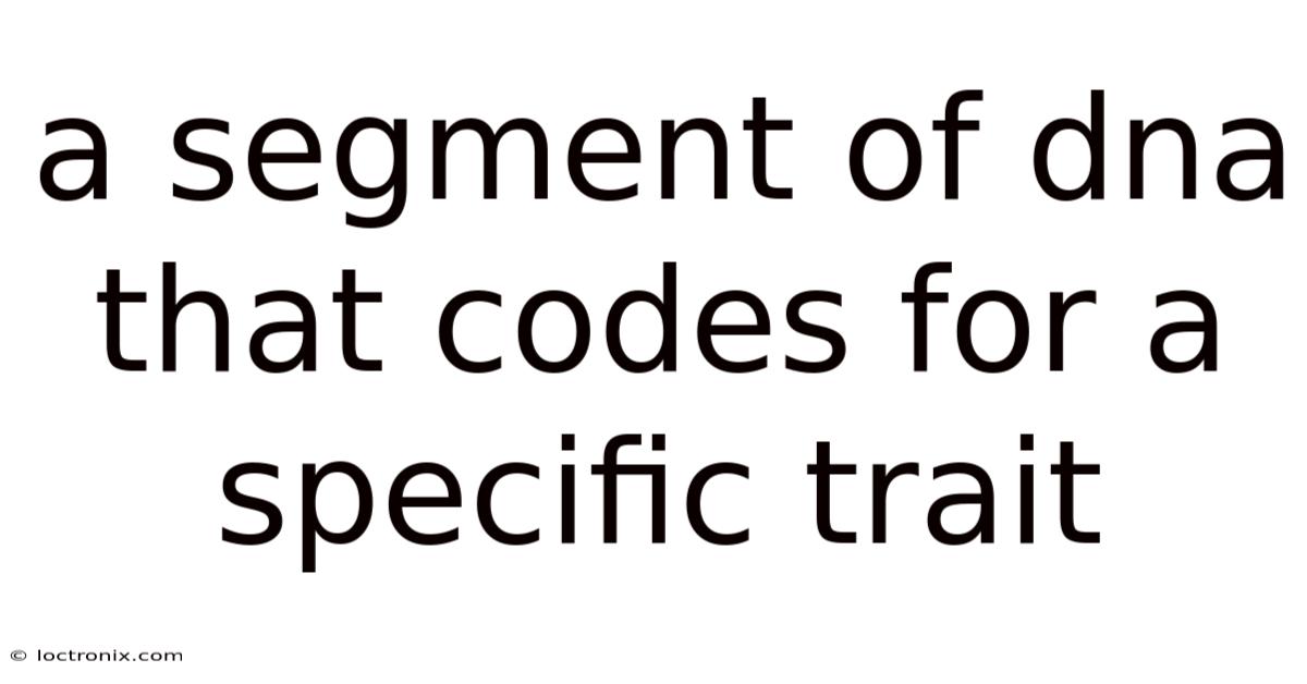 A Segment Of Dna That Codes For A Specific Trait
