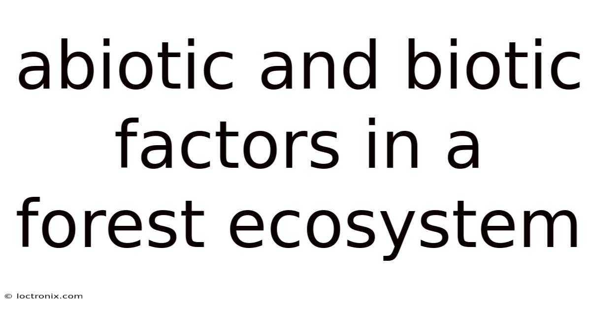 Abiotic And Biotic Factors In A Forest Ecosystem