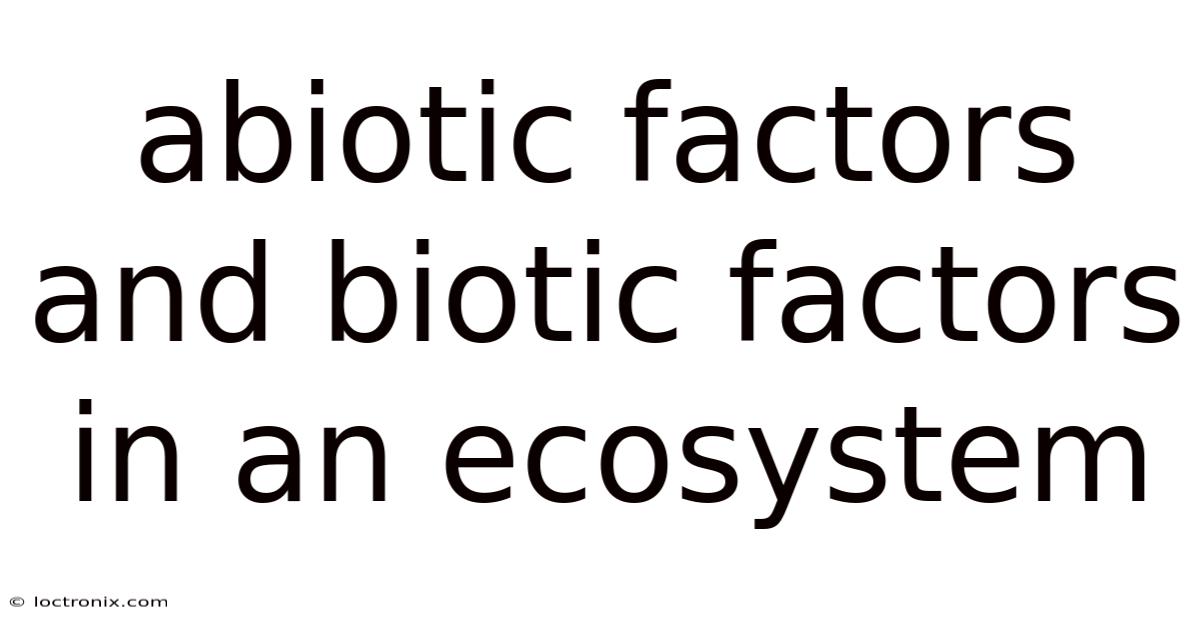 Abiotic Factors And Biotic Factors In An Ecosystem
