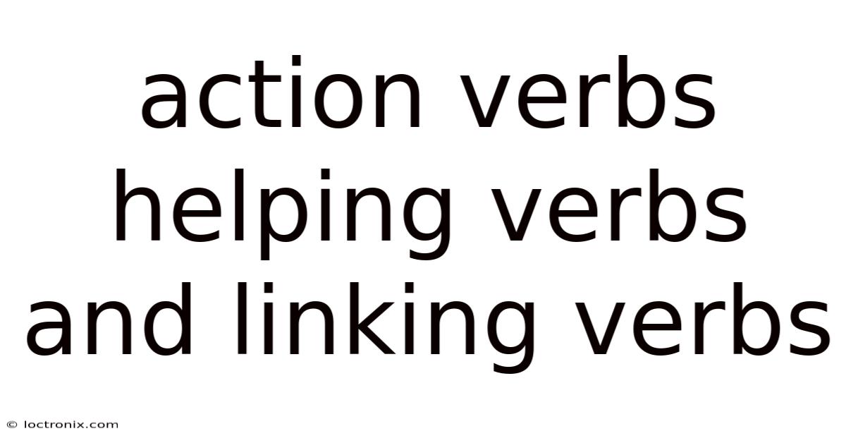 Action Verbs Helping Verbs And Linking Verbs