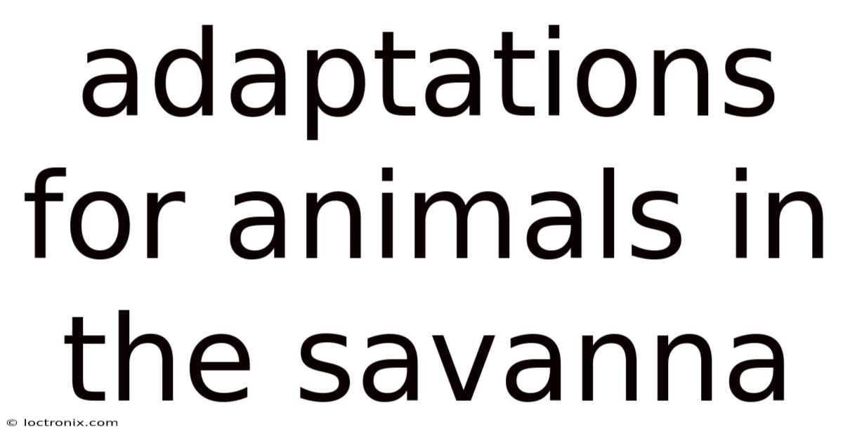 Adaptations For Animals In The Savanna