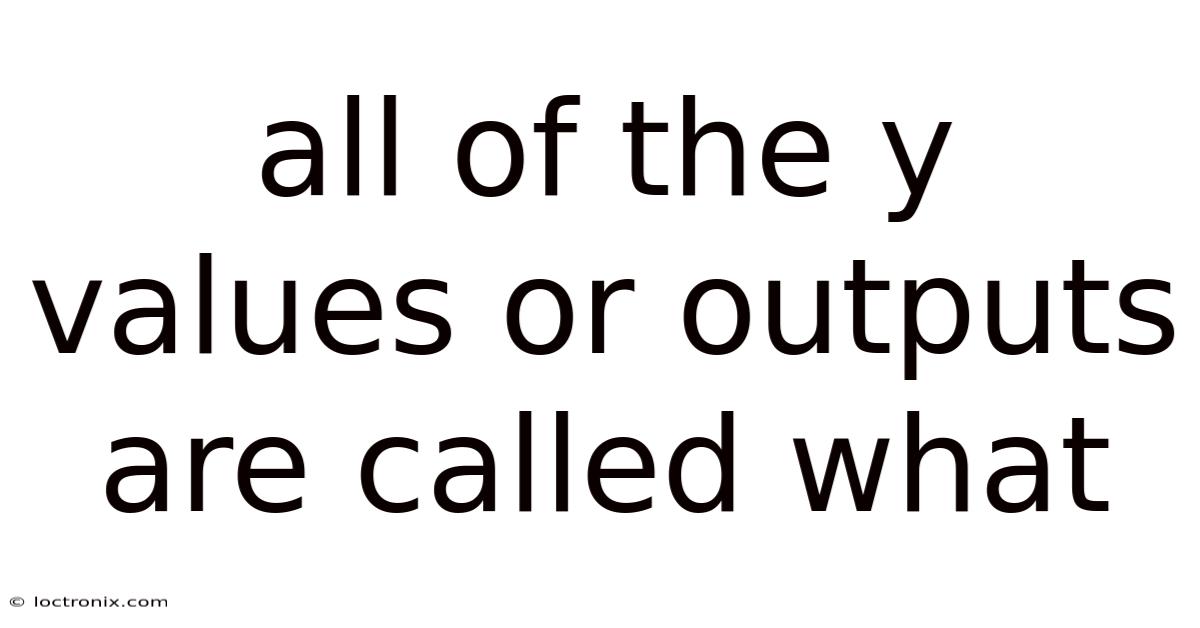 All Of The Y Values Or Outputs Are Called What