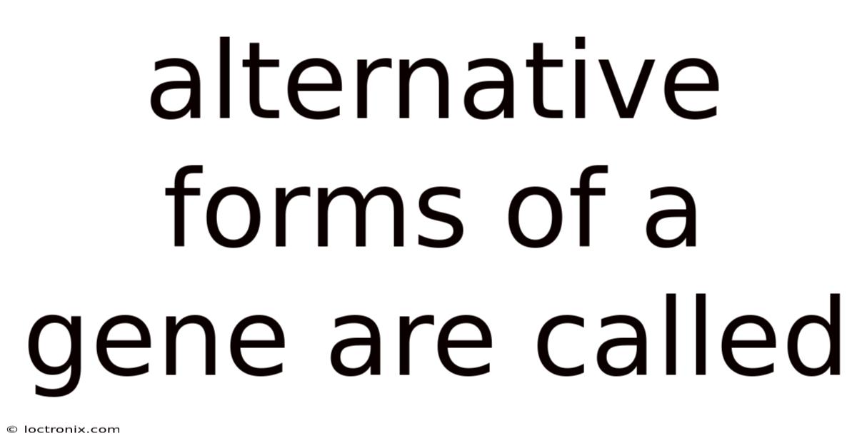 Alternative Forms Of A Gene Are Called