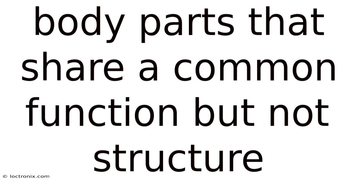 Body Parts That Share A Common Function But Not Structure