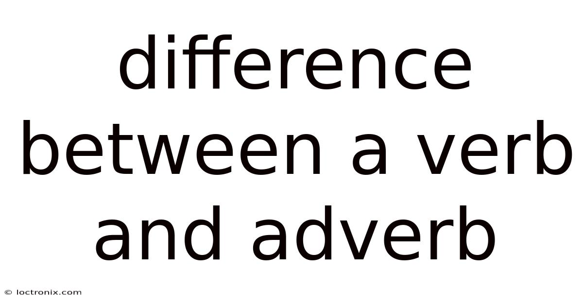 Difference Between A Verb And Adverb