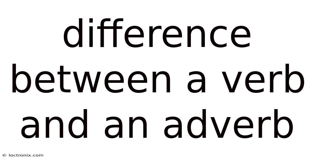 Difference Between A Verb And An Adverb