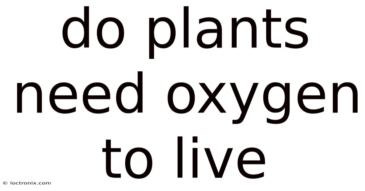 Do Plants Need Oxygen To Live