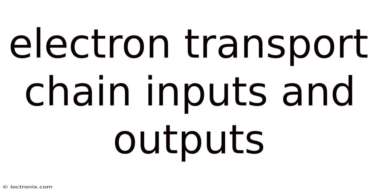 Electron Transport Chain Inputs And Outputs