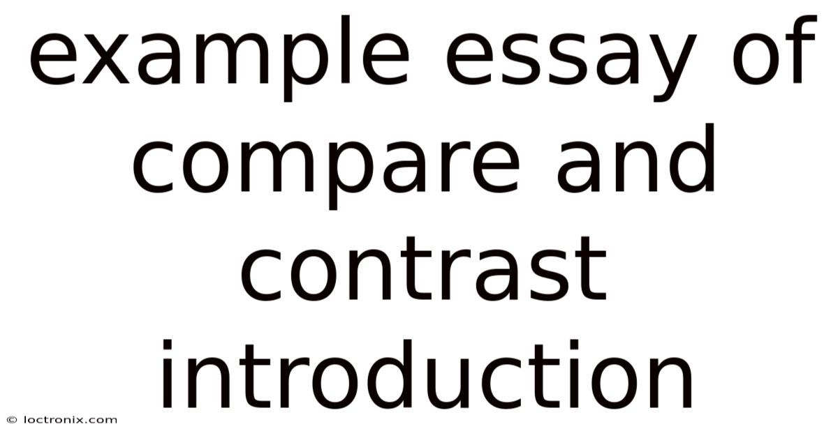 Example Essay Of Compare And Contrast Introduction