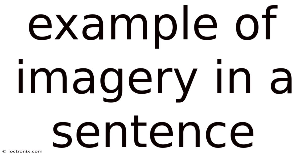 Example Of Imagery In A Sentence