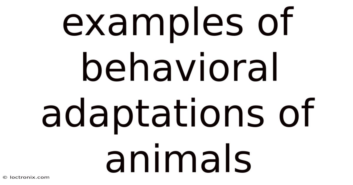 Examples Of Behavioral Adaptations Of Animals