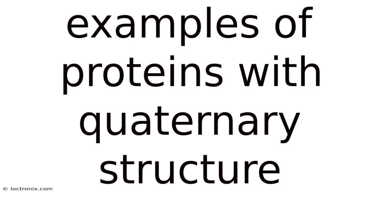 Examples Of Proteins With Quaternary Structure