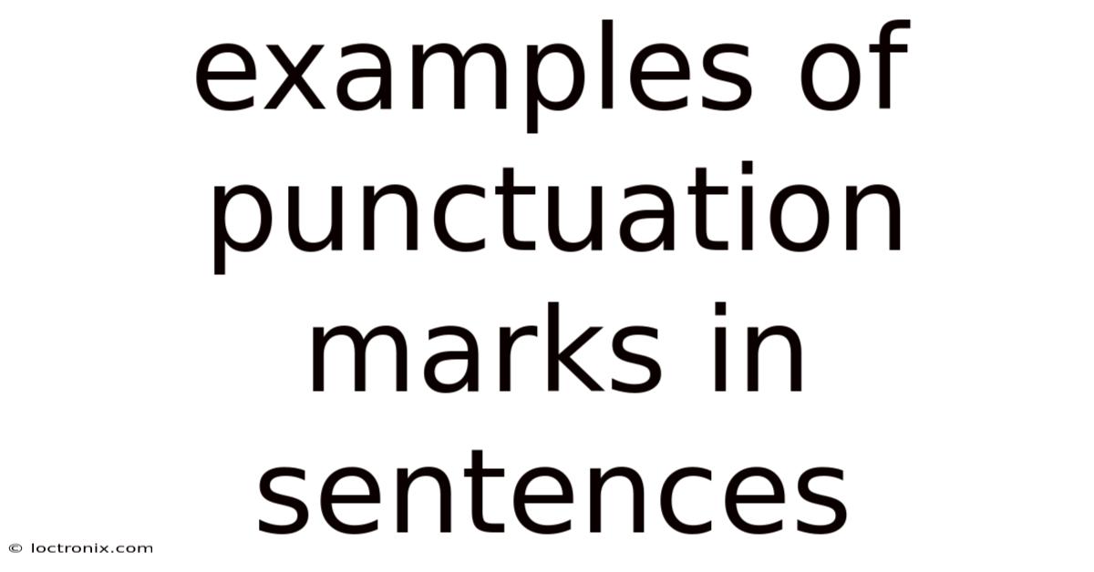 Examples Of Punctuation Marks In Sentences