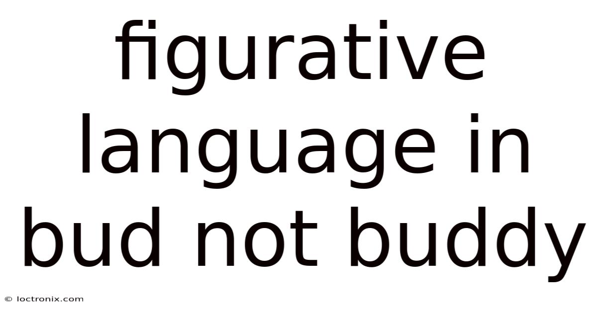 Figurative Language In Bud Not Buddy