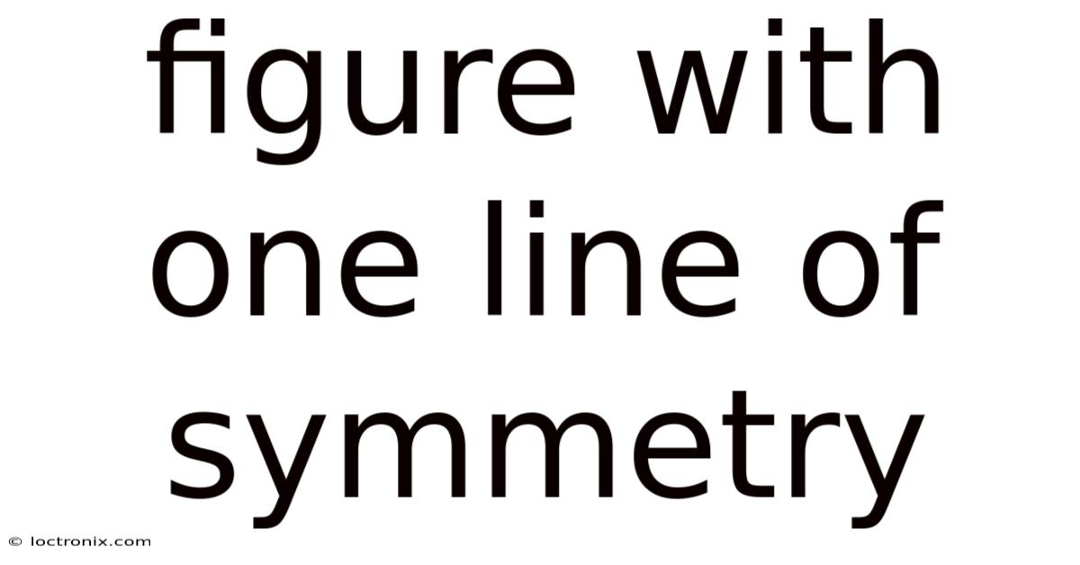 Figure With One Line Of Symmetry