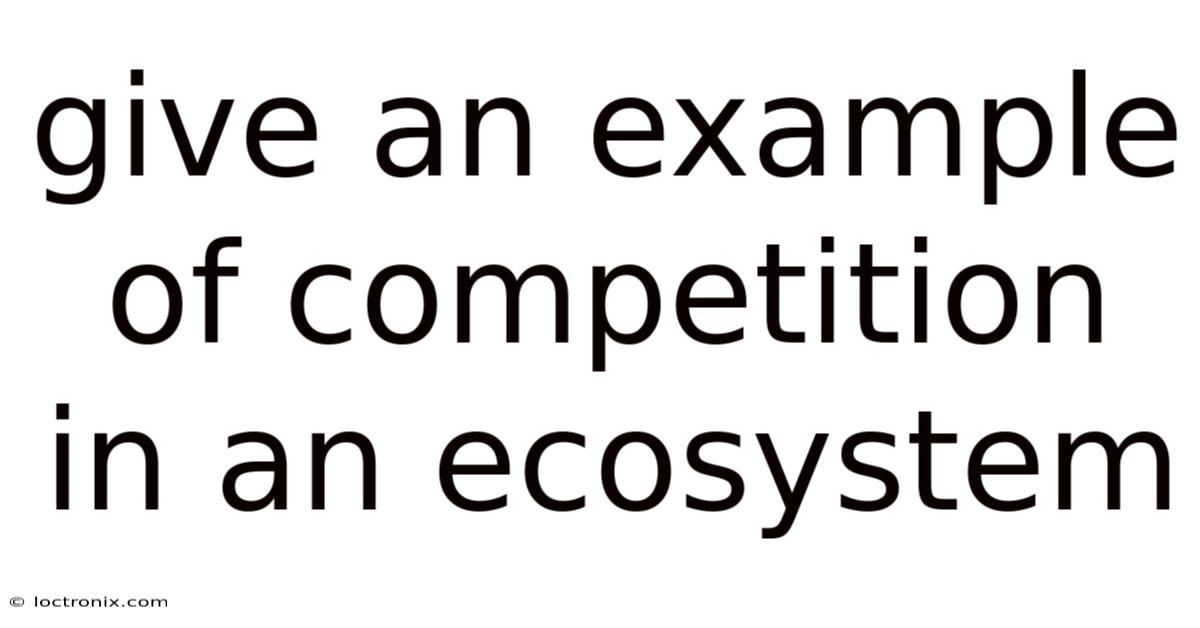Give An Example Of Competition In An Ecosystem