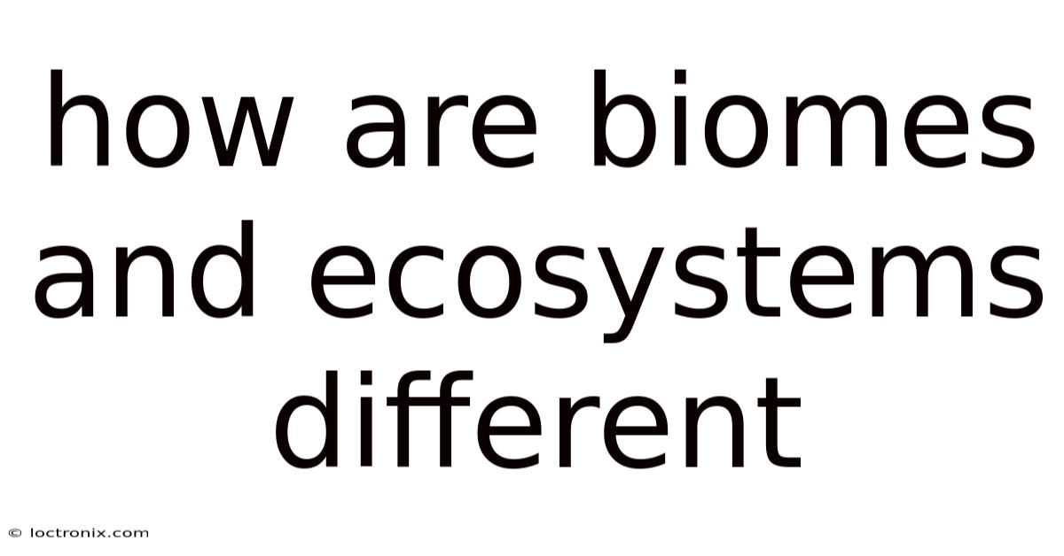 How Are Biomes And Ecosystems Different