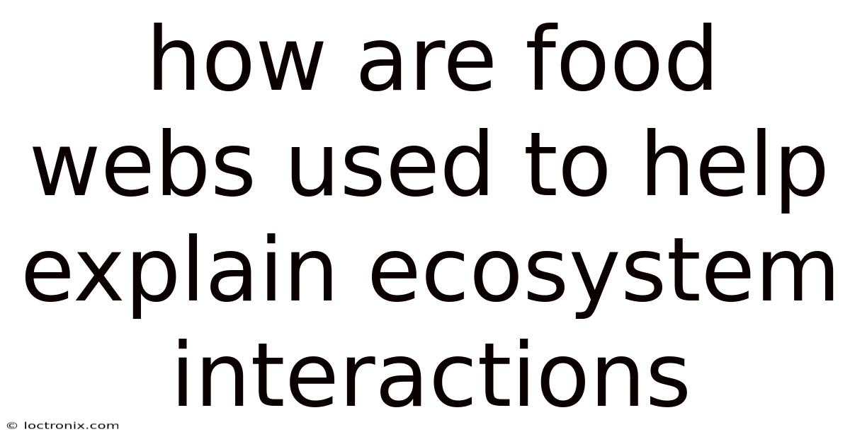 How Are Food Webs Used To Help Explain Ecosystem Interactions