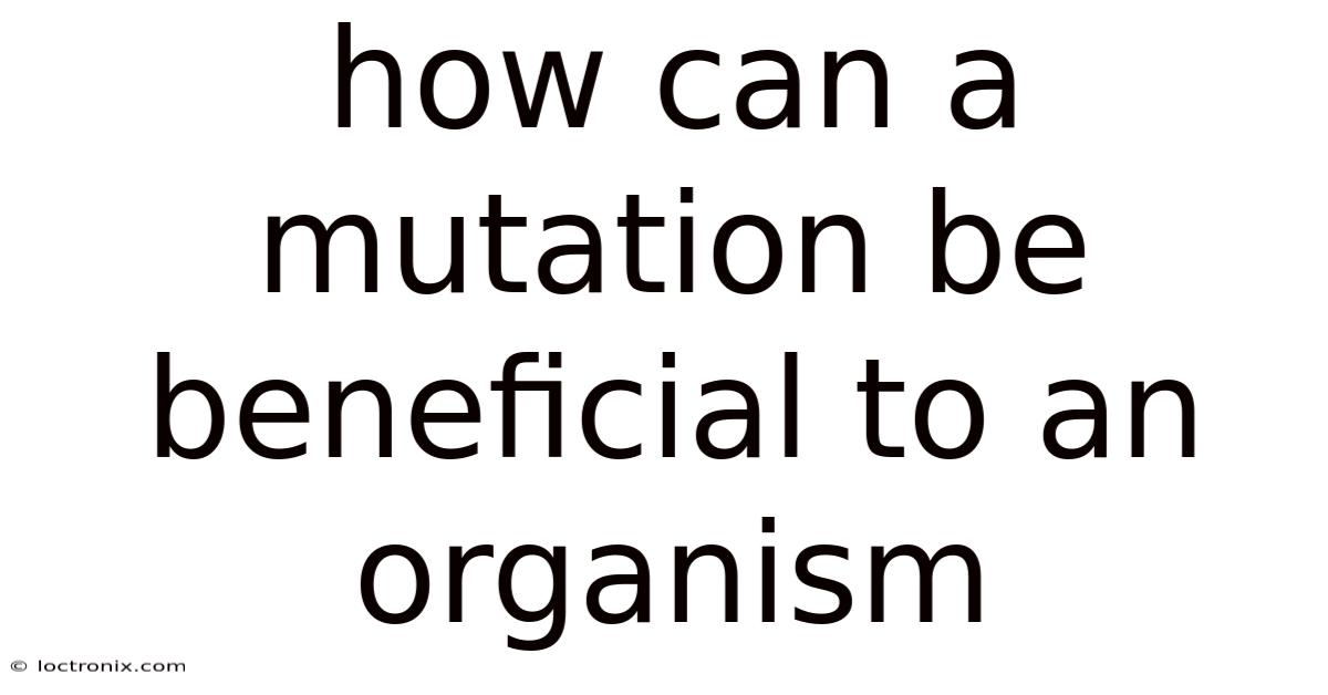 How Can A Mutation Be Beneficial To An Organism