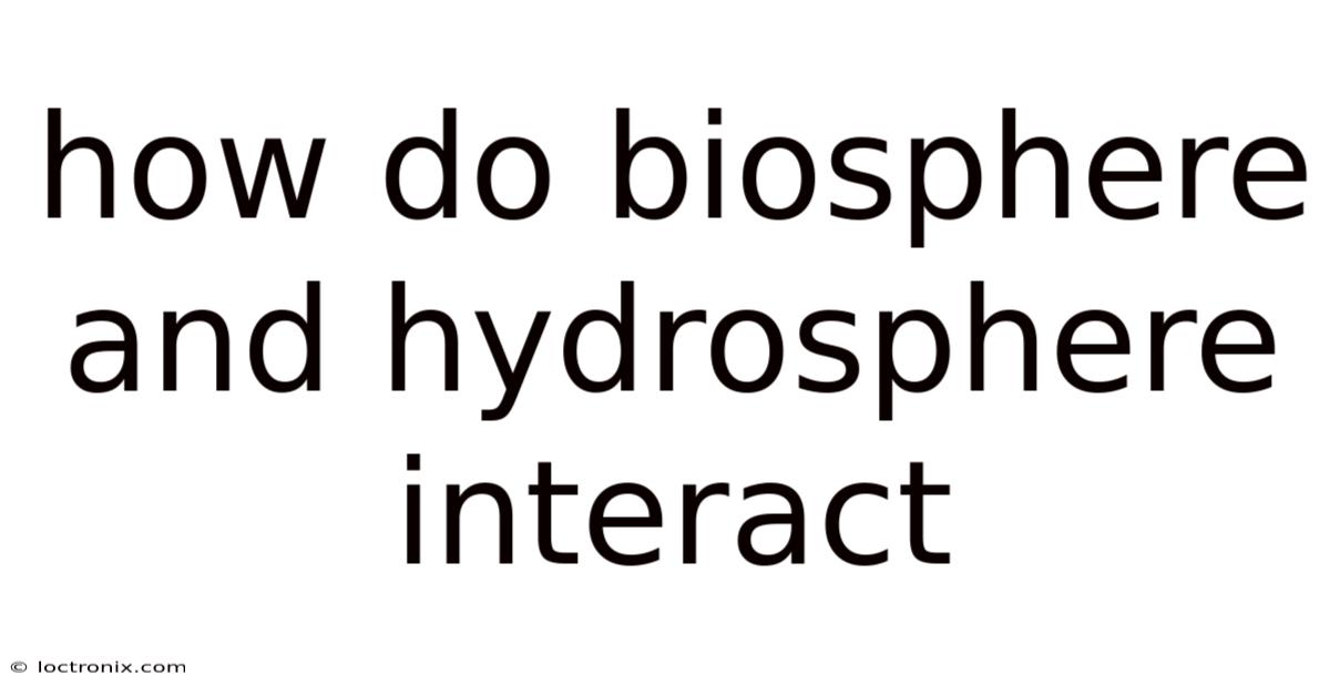 How Do Biosphere And Hydrosphere Interact