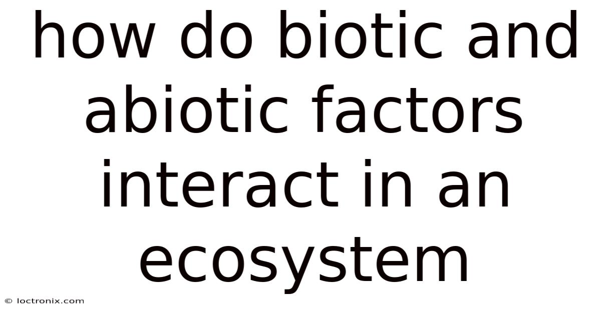 How Do Biotic And Abiotic Factors Interact In An Ecosystem
