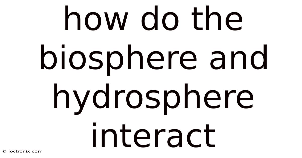 How Do The Biosphere And Hydrosphere Interact