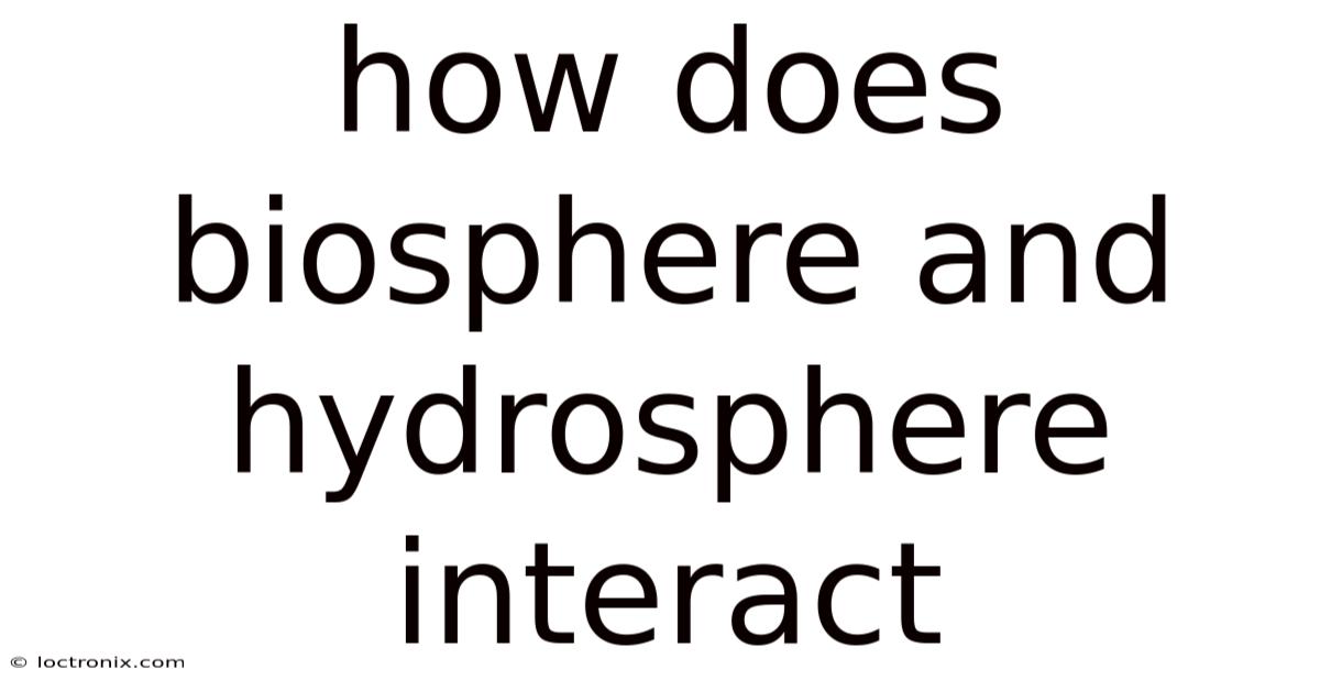How Does Biosphere And Hydrosphere Interact