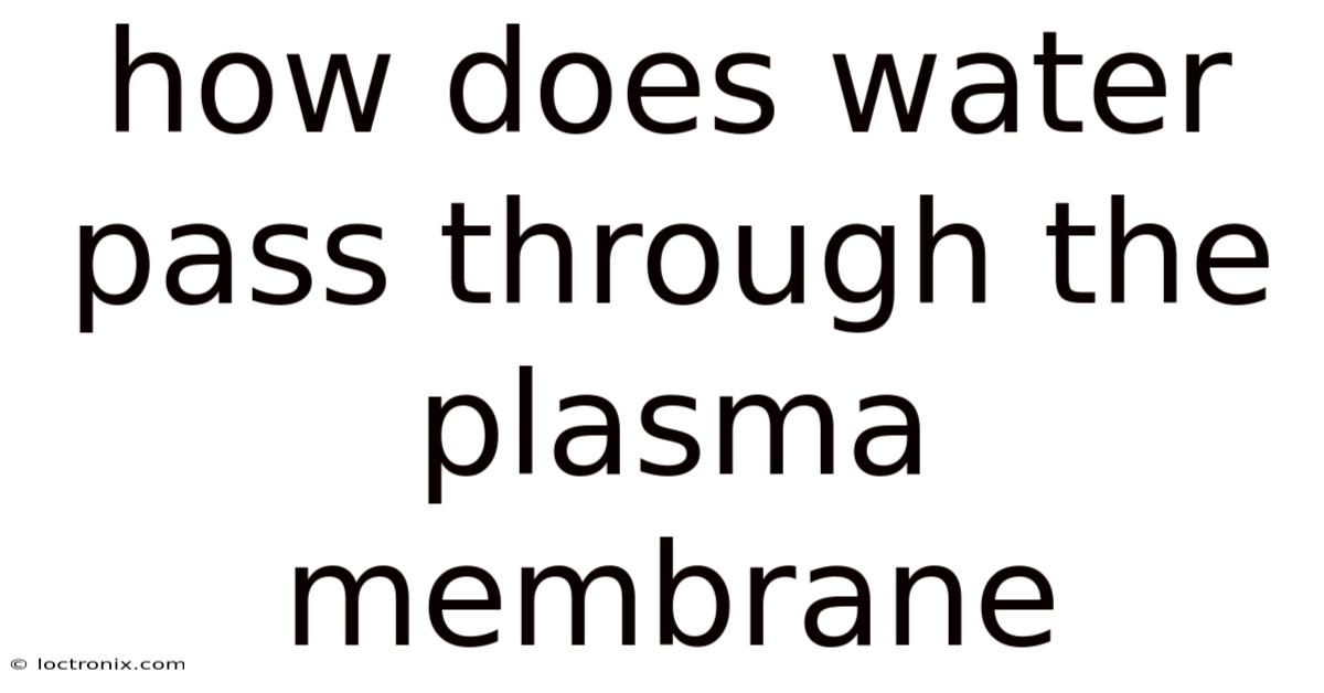 How Does Water Pass Through The Plasma Membrane