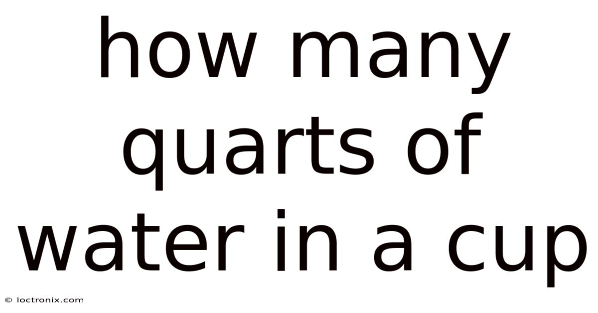 How Many Quarts Of Water In A Cup