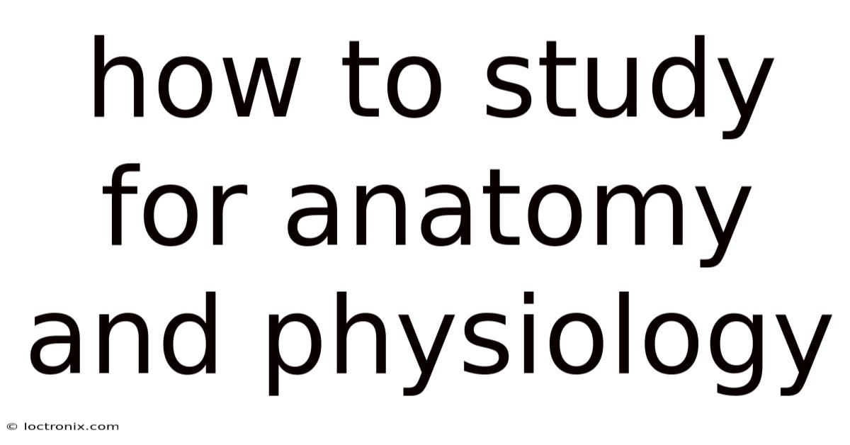 How To Study For Anatomy And Physiology