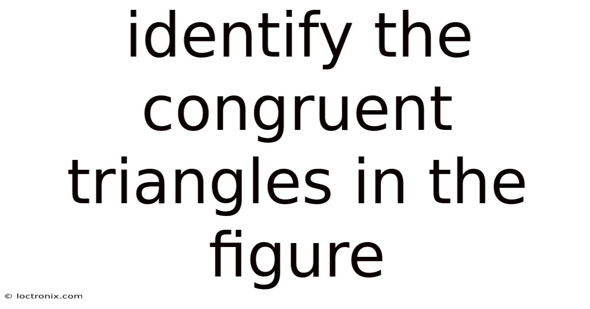 Identify The Congruent Triangles In The Figure