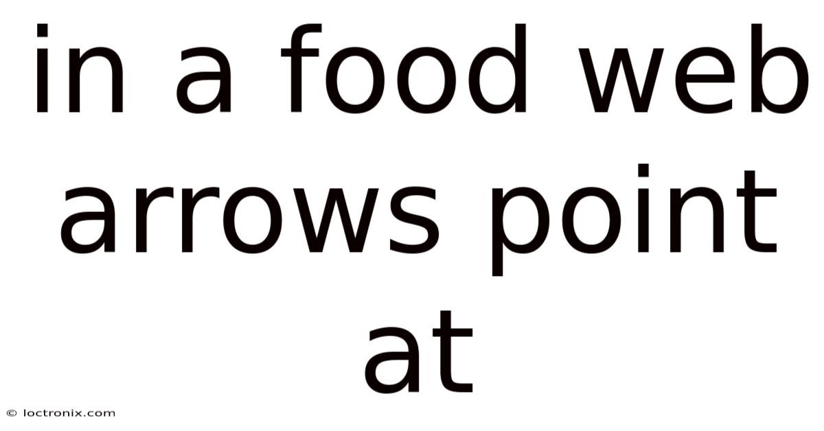 In A Food Web Arrows Point At
