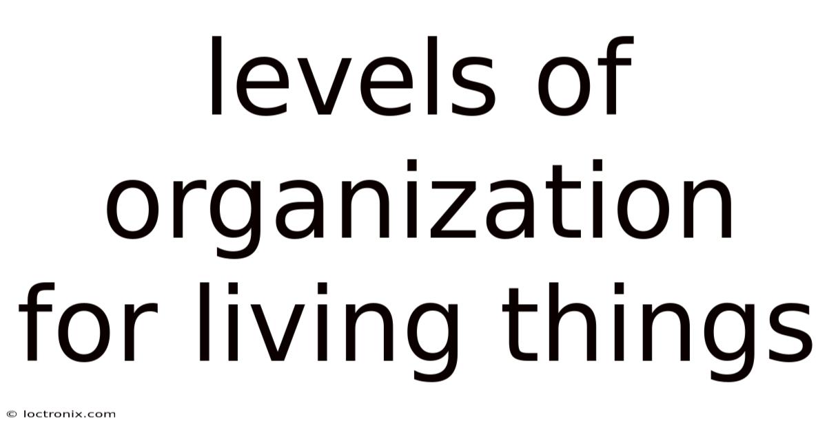 Levels Of Organization For Living Things