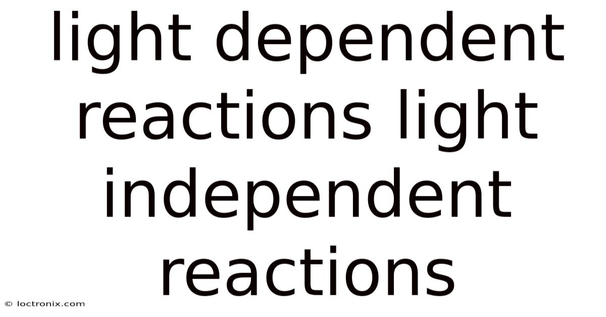 Light Dependent Reactions Light Independent Reactions
