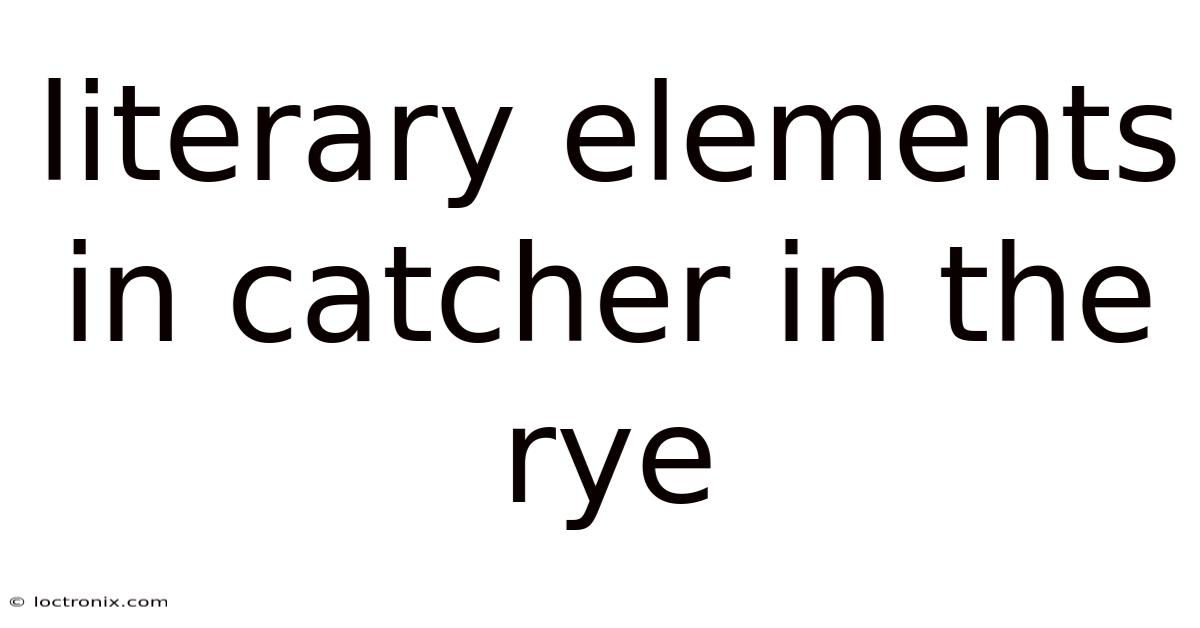 Literary Elements In Catcher In The Rye