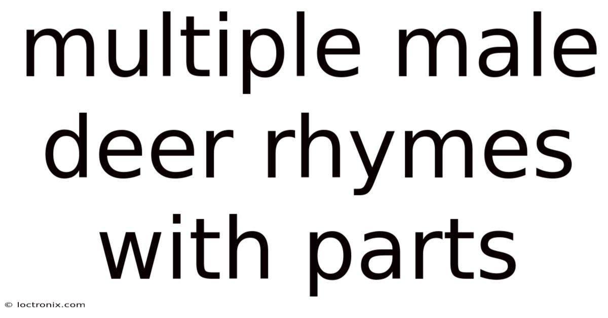 Multiple Male Deer Rhymes With Parts