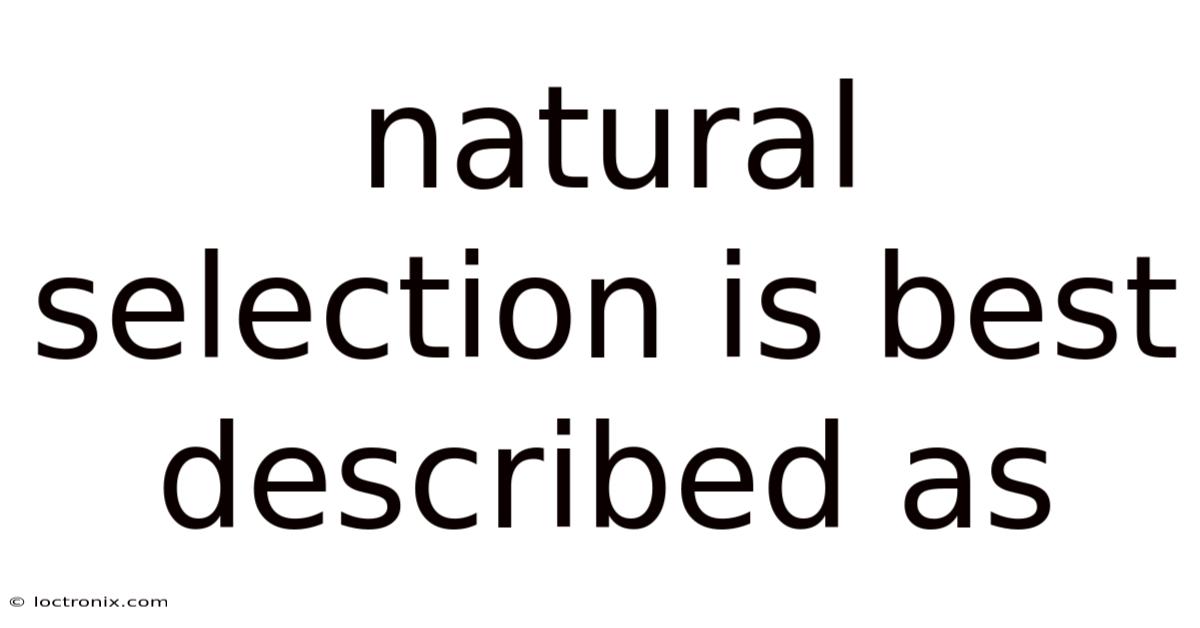 Natural Selection Is Best Described As