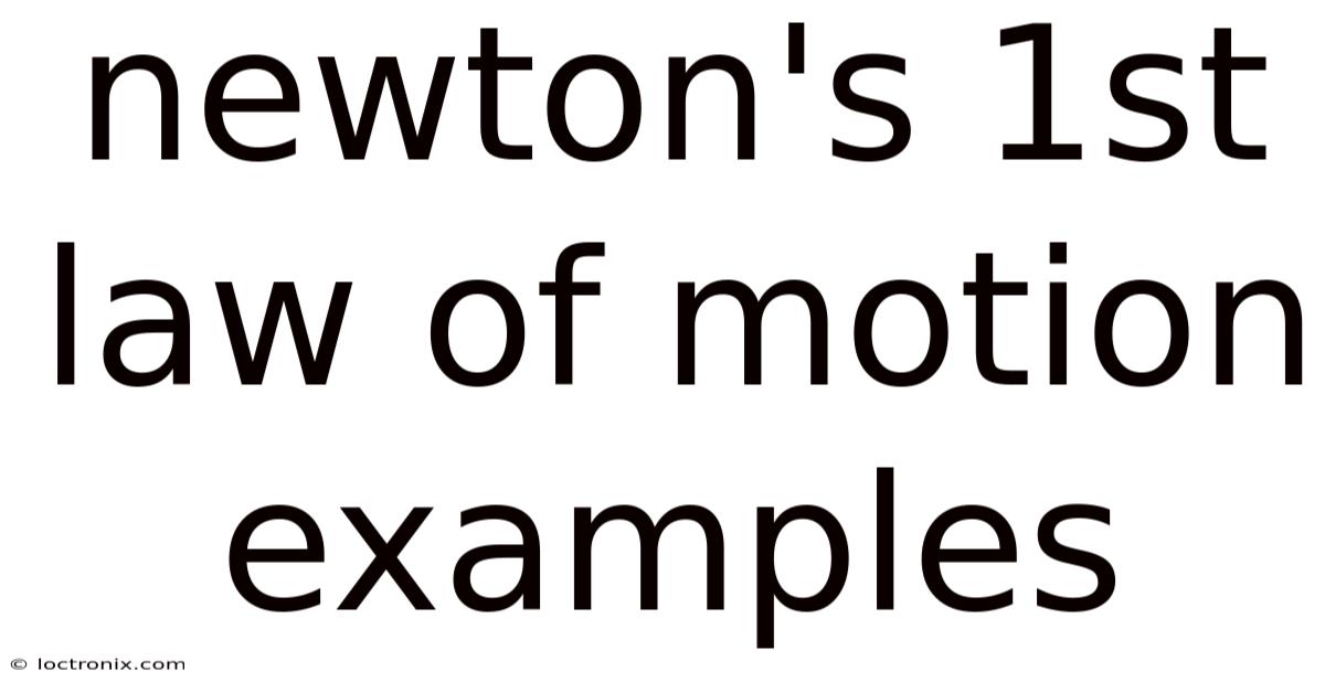 Newton's 1st Law Of Motion Examples