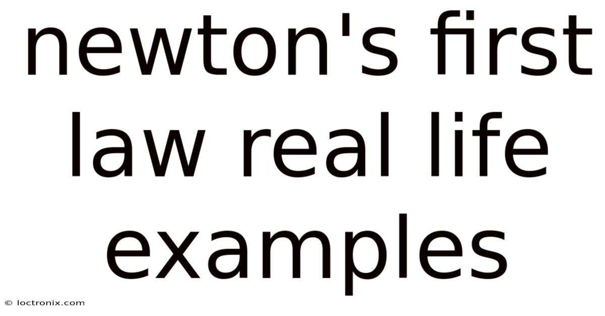 Newton's First Law Real Life Examples