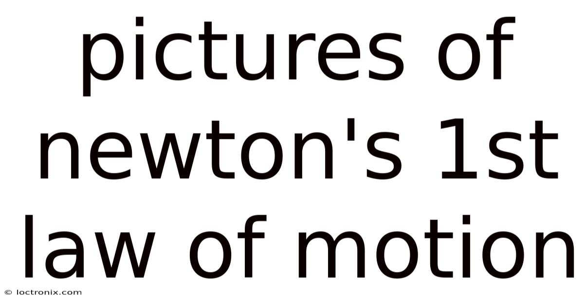 Pictures Of Newton's 1st Law Of Motion