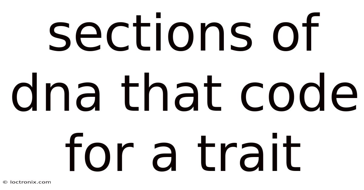 Sections Of Dna That Code For A Trait