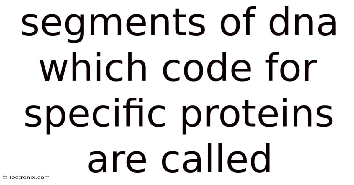 Segments Of Dna Which Code For Specific Proteins Are Called