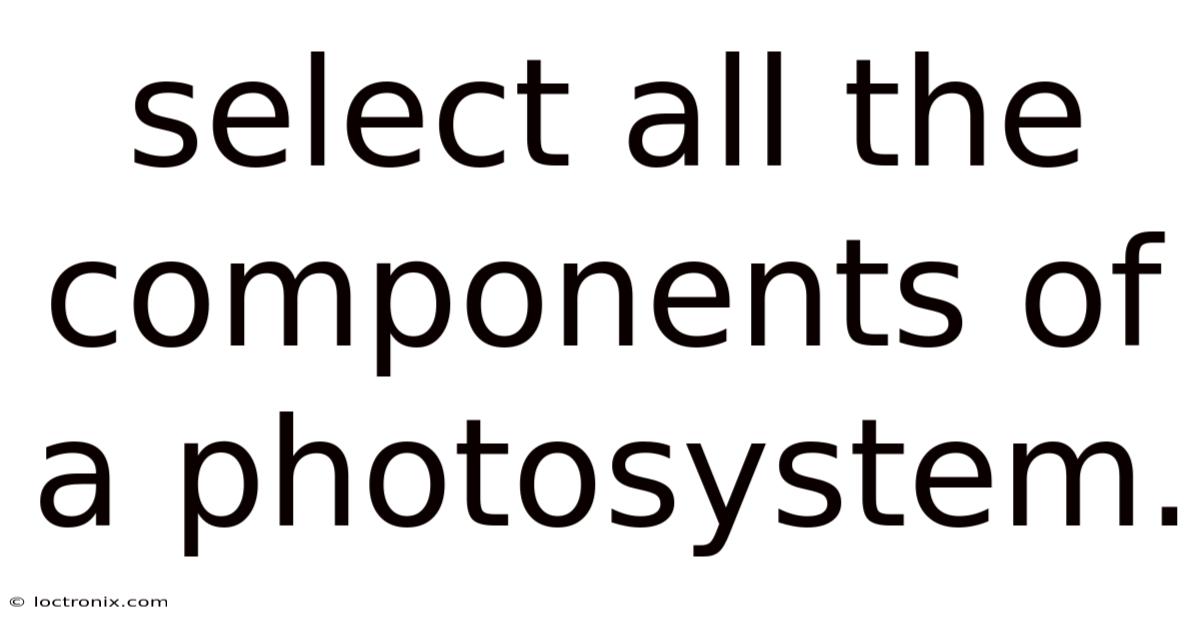 Select All The Components Of A Photosystem.