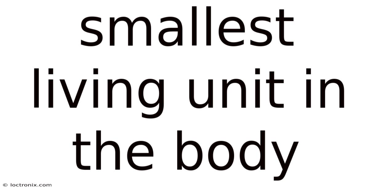 Smallest Living Unit In The Body